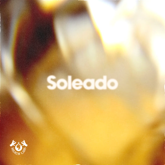 Soleado - Afro and RNB Guitar Sample pack